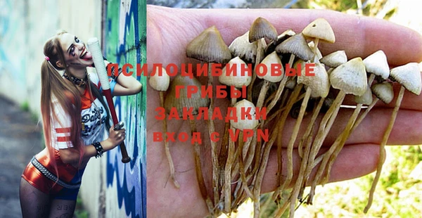 PSILOCYBIN Волоколамск