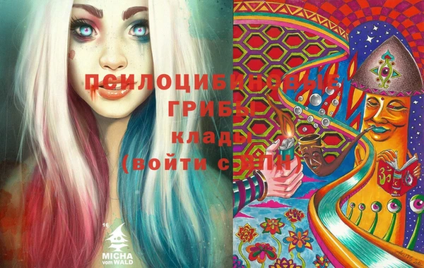 герыч Осинники