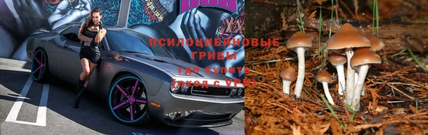 хмурый Осташков