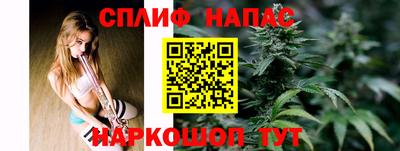 молекула духа Донецк