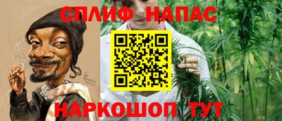 молекула духа Донецк