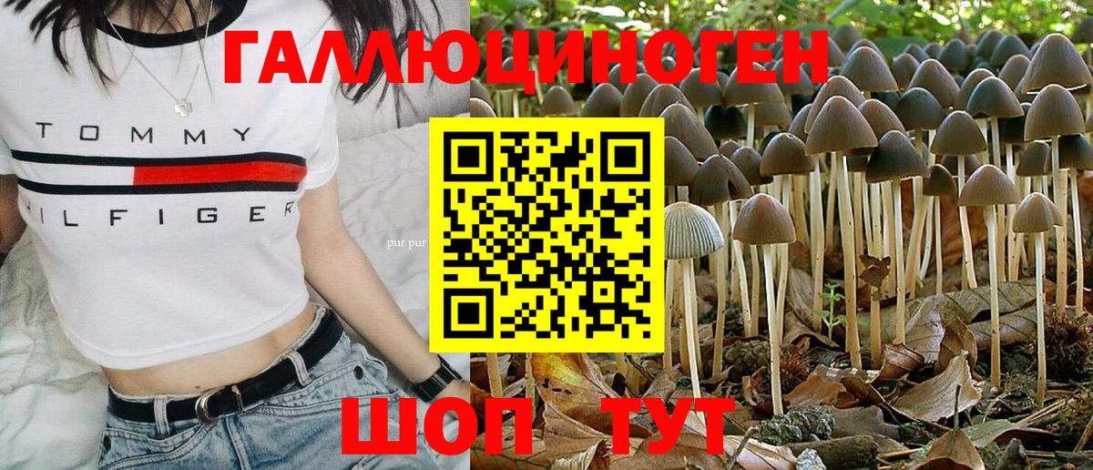 как найти наркотики  Семилуки  Псилоцибиновые грибы MAGIC MUSHROOMS 