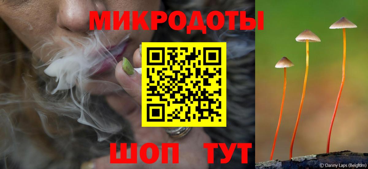 Псилоцибиновые грибы мицелий Семилуки